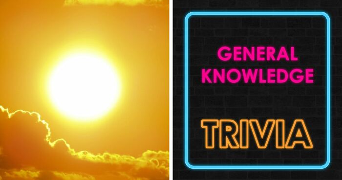 Only The Most Clever Folks Will Know The Difference Between All 30 Commonly Confused Items