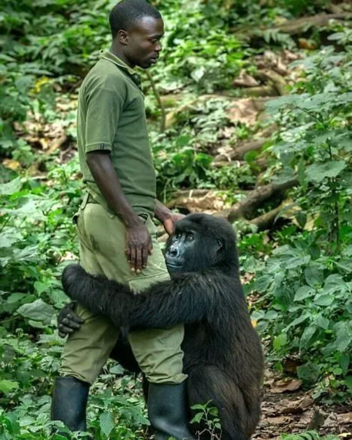 41 Incredible Animal Moments Captured By Botanica Etcetera That Reveal How Amazing Nature Truly Is