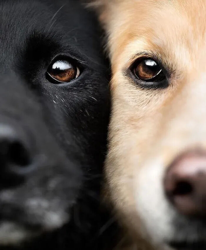 41 Incredible Animal Moments Captured By Botanica Etcetera That Reveal How Amazing Nature Truly Is