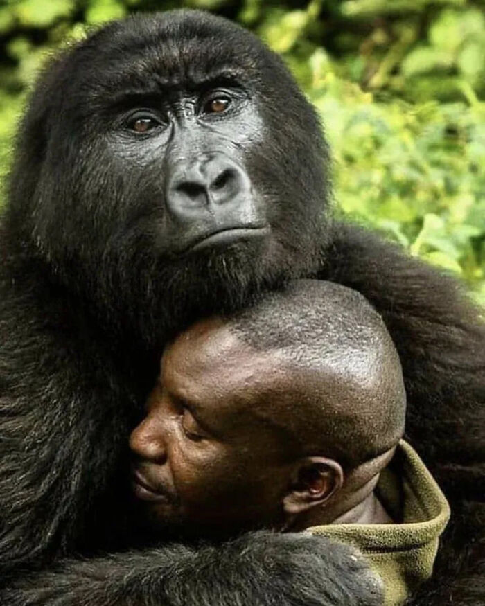 41 Incredible Animal Moments Captured By Botanica Etcetera That Reveal How Amazing Nature Truly Is