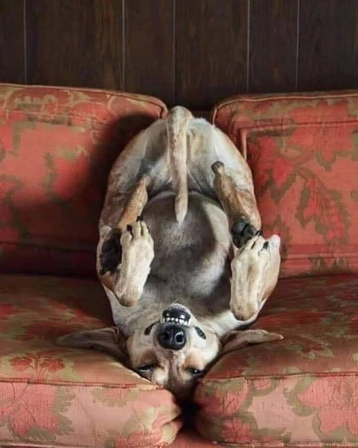 41 Incredible Animal Moments Captured By Botanica Etcetera That Reveal How Amazing Nature Truly Is