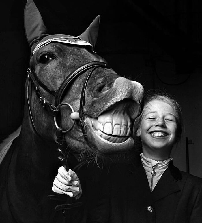 41 Incredible Animal Moments Captured By Botanica Etcetera That Reveal How Amazing Nature Truly Is