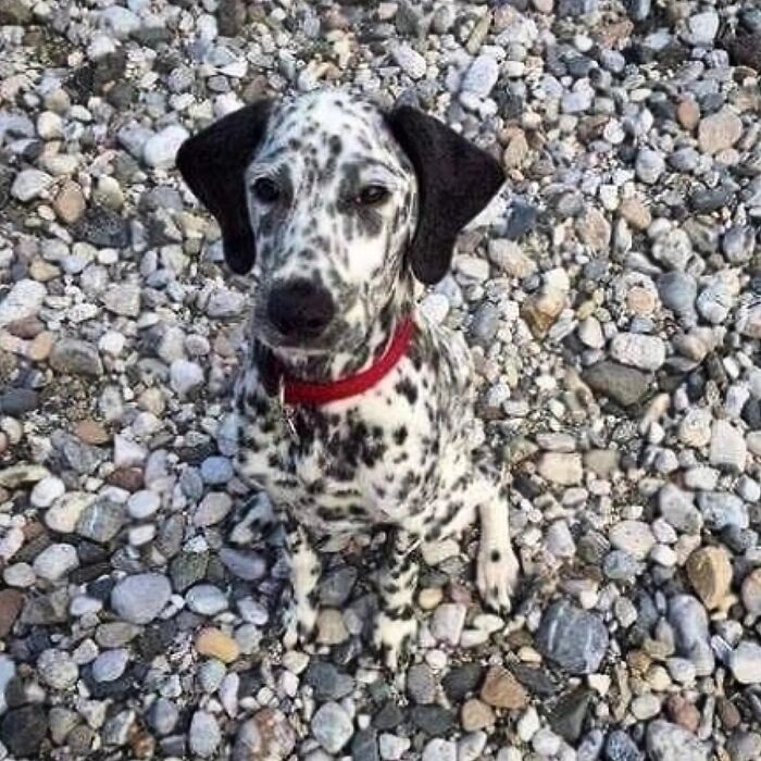 41 Incredible Animal Moments Captured By Botanica Etcetera That Reveal How Amazing Nature Truly Is