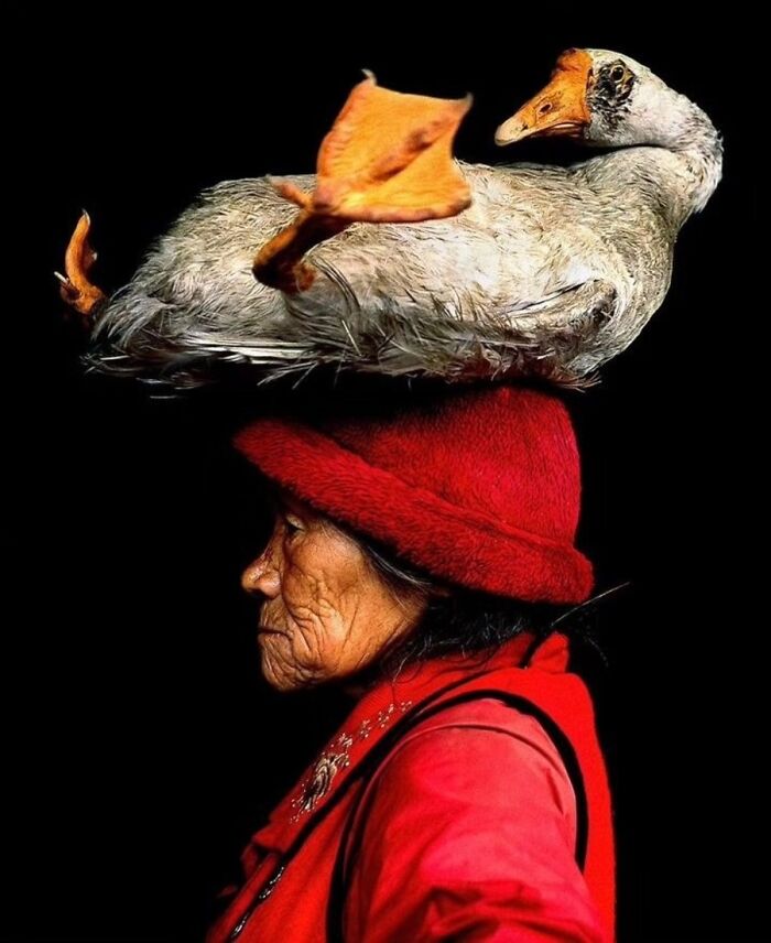 41 Incredible Animal Moments Captured By Botanica Etcetera That Reveal How Amazing Nature Truly Is