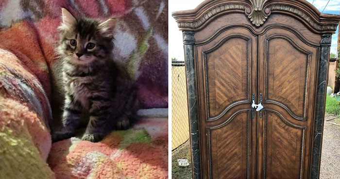 51 Times People Went Digging Through Trash And Came Home With The Luckiest Finds
