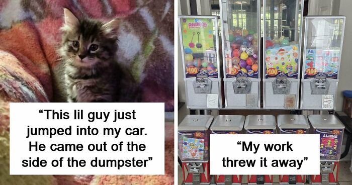 51 Times People Went Digging Through Trash And Came Home With The Luckiest Finds