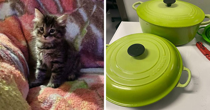51 Times People Went Digging Through Trash And Came Home With The Luckiest Finds