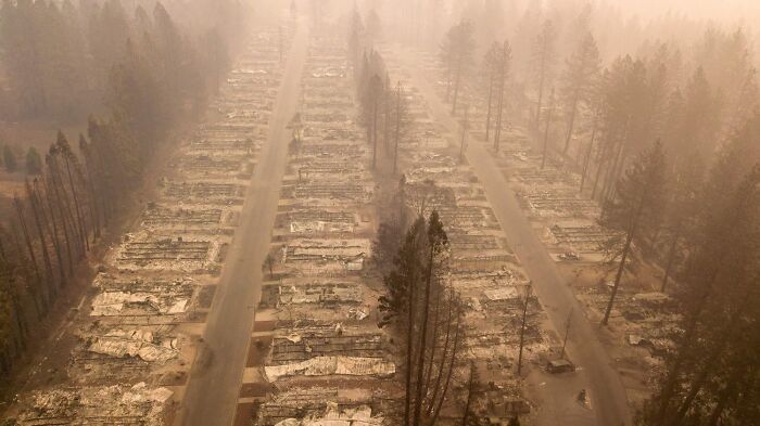 Aerial view of a dystopian nightmare scene showing a desolate neighborhood destroyed by wildfire with burnt trees and ruins.
