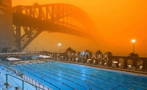 50 Posts That Show How Ridiculous And Dystopian Life Has Gotten