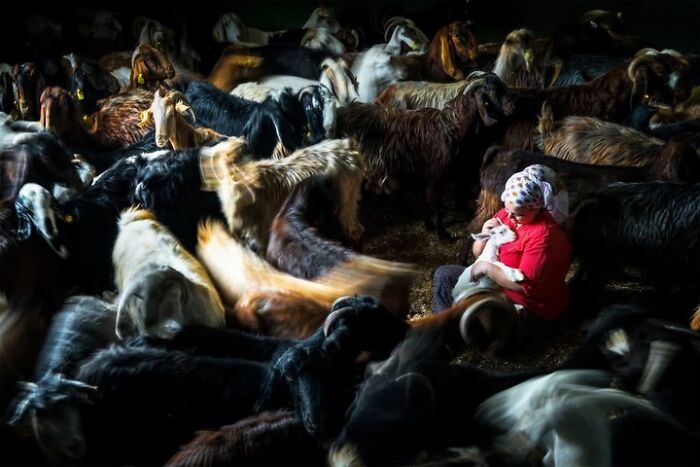 These Stunning Photographs Capture Perfectly Timed Moments That Tell Whole Stories (35 New Pics)