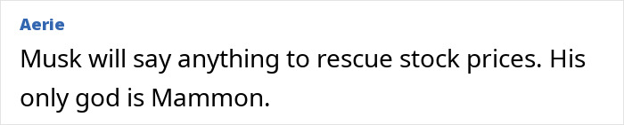 Screenshot of a comment criticizing Elon Musk, linking his statements to theories about something really bad coming.