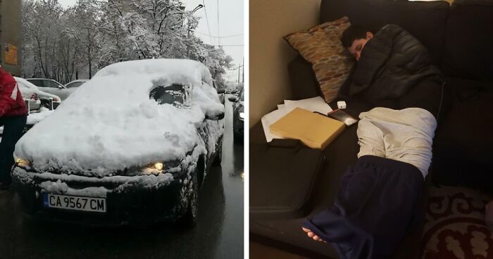57 People Who Are So Lazy They Might Make You Feel Better About Taking A Day Off