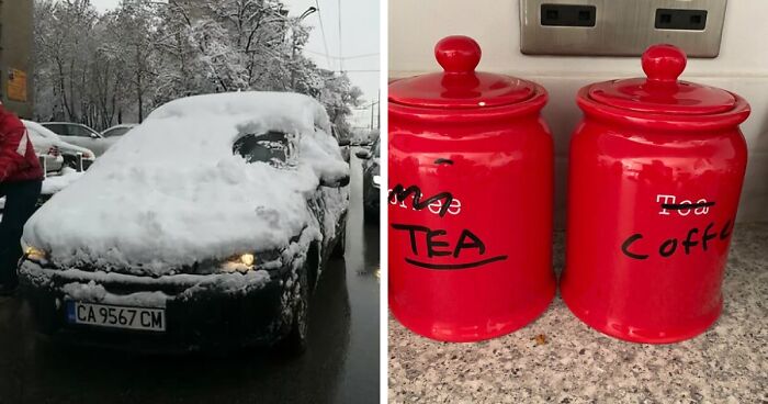 57 People Who Are So Lazy They Might Make You Feel Better About Taking A Day Off