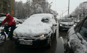 These 57 Lazy Moments Started Small But Quickly Got Out Of Hand