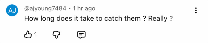 Comment by user ajyoung7484 questioning how long it takes to catch Nancy Guthrie&rsquo;s kidnapper after pivotal moment.
