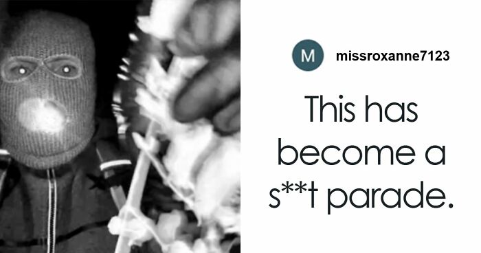 50 Hilarious Memes That You Might Want To Show Your Dog