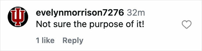 Instagram comment by user evelynmorrison7276 questioning the purpose related to Bianca Censori 2026 Edition reactions.