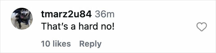 Comment from tmarz2u84 expressing strong disapproval with a simple phrase on social media.