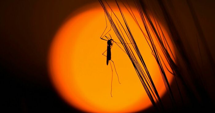 “Time But No Energy Or Energy But No Time?”: Pick Between 30 Painfully Difficult Scenarios