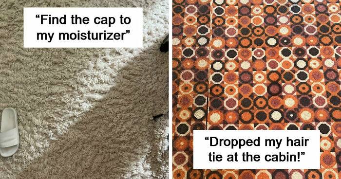 ‘When You See It’: 111 Perfectly Camouflaged Things That Might Take You Ages To Find (New Pics)