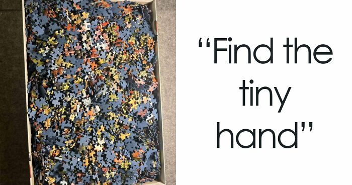 ‘When You See It’: 111 Perfectly Camouflaged Things That Might Take You Ages To Find (New Pics)