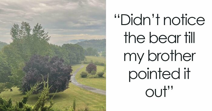 ‘When You See It’: 111 Perfectly Camouflaged Things That Might Take You Ages To Find (New Pics)