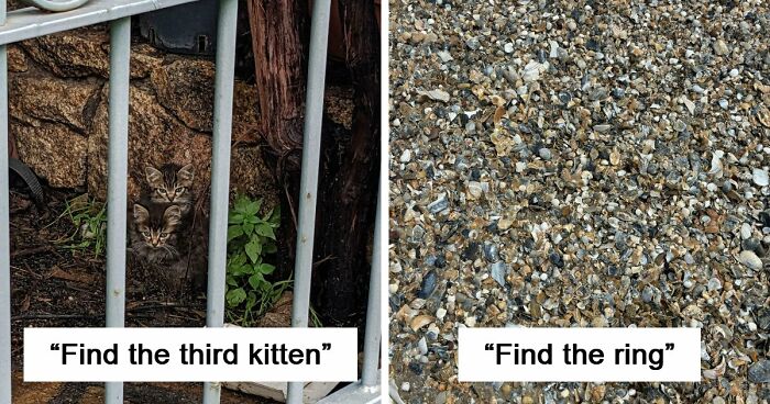 ‘When You See It’: 111 Perfectly Camouflaged Things That Might Take You Ages To Find (New Pics)