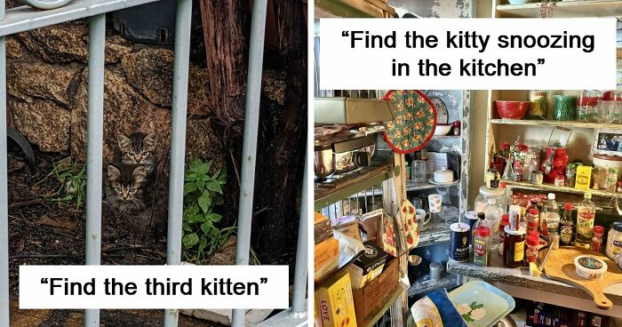 ‘When You See It’: 111 Perfectly Camouflaged Things That Might Take You Ages To Find (New Pics)