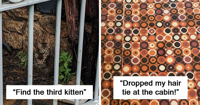 ‘When You See It’: 111 Perfectly Camouflaged Things That Might Take You Ages To Find (New Pics)