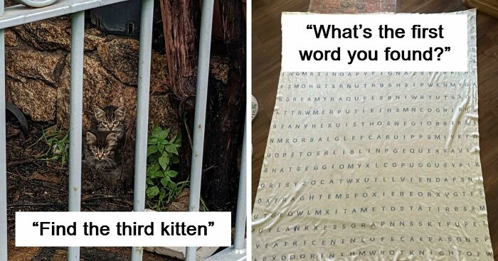 ‘When You See It’: 111 Perfectly Camouflaged Things That Might Take You Ages To Find (New Pics)