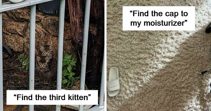 ‘When You See It’: 111 Perfectly Camouflaged Things That Might Take You Ages To Find (New Pics)