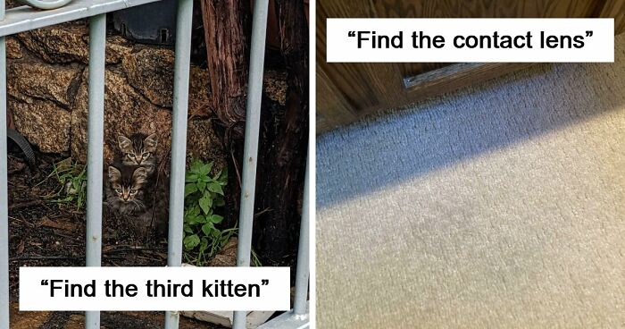 ‘When You See It’: 111 Perfectly Camouflaged Things That Might Take You Ages To Find (New Pics)