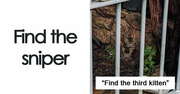 ‘When You See It’: 111 Perfectly Camouflaged Things That Might Take You Ages To Find (New Pics)