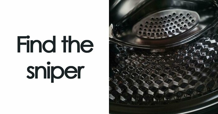 ‘When You See It’: 111 Perfectly Camouflaged Things That Might Take You Ages To Find (New Pics)