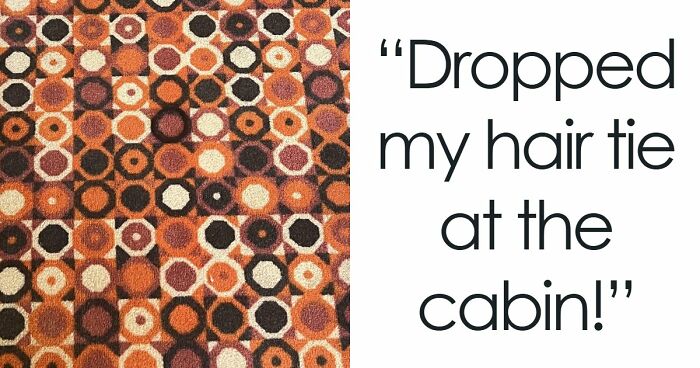 ‘When You See It’: 111 Perfectly Camouflaged Things That Might Take You Ages To Find (New Pics)