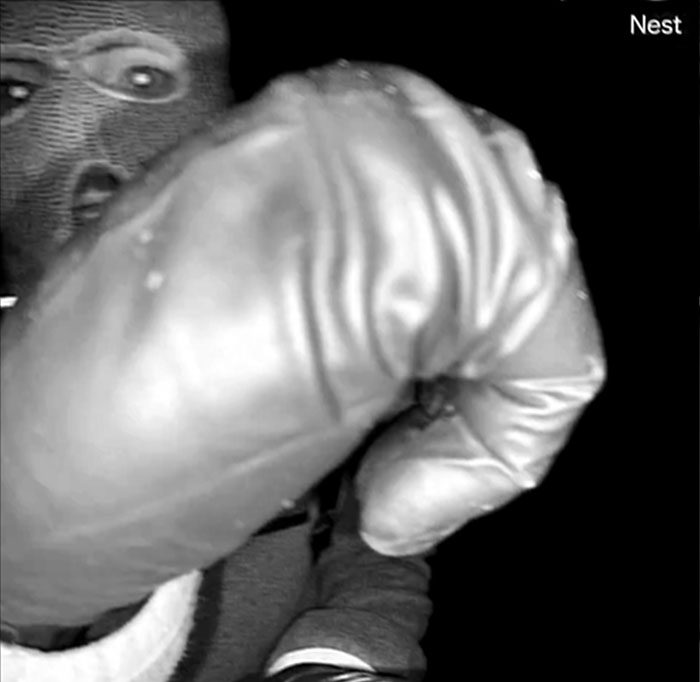 Cops Detain Man In Connection With Nancy Guthrie's Abduction As Expert Exposes Suspect's Mistake