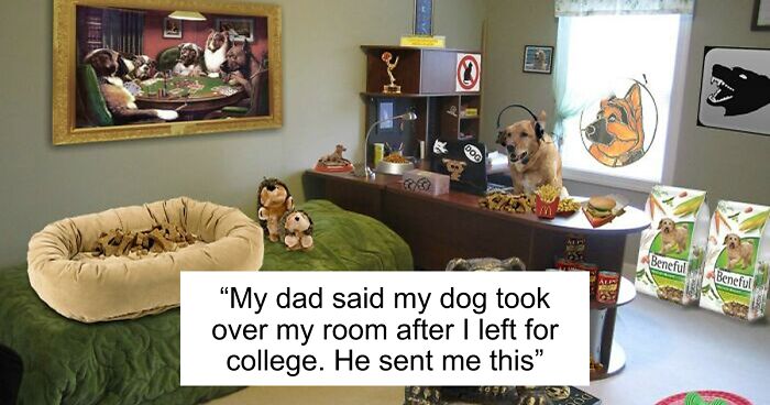 60 Fun Parents Who Brought Nothing But Joy To Their Children’s Lives (New Pics)