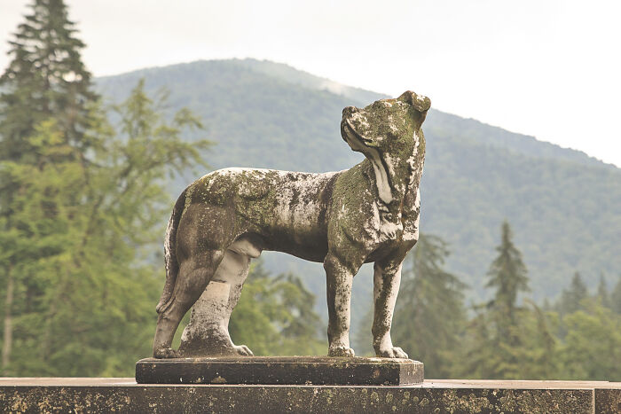 Weathered stone dog statue on a pedestal in front of forested mountains, representing hilarious physicians' notes humor.