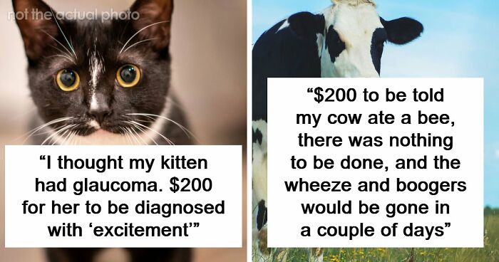 33 “I Can’t Believe I Had To Pay For This” Vet Stories