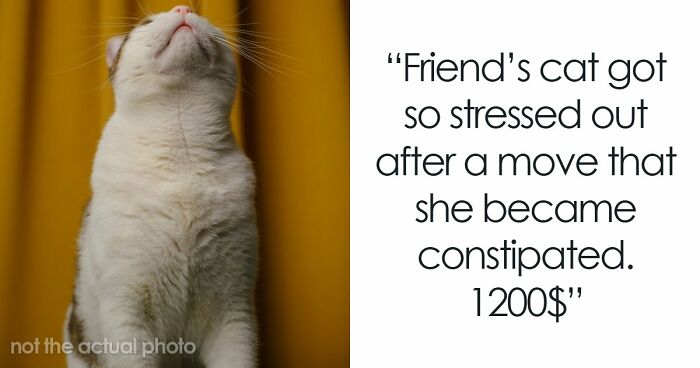 33 “I Can’t Believe I Had To Pay For This” Vet Stories