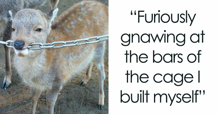 This Page Posts Pics Of Animals With Powerful Auras, And These 63 Are Hilarious (New Pics) - 24