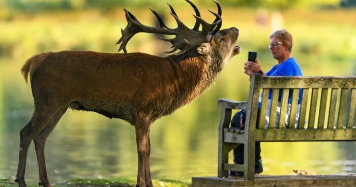 Brits Are Sharing Funny Pics From Their Daily Lives And These 58 Are Simply Exquisite (New Pics)