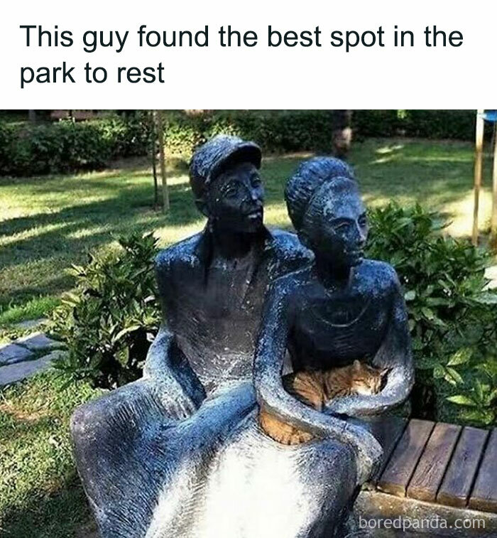 Statue of a couple in a park with a cat resting comfortably on the woman's lap, a relaxing cat meme moment.