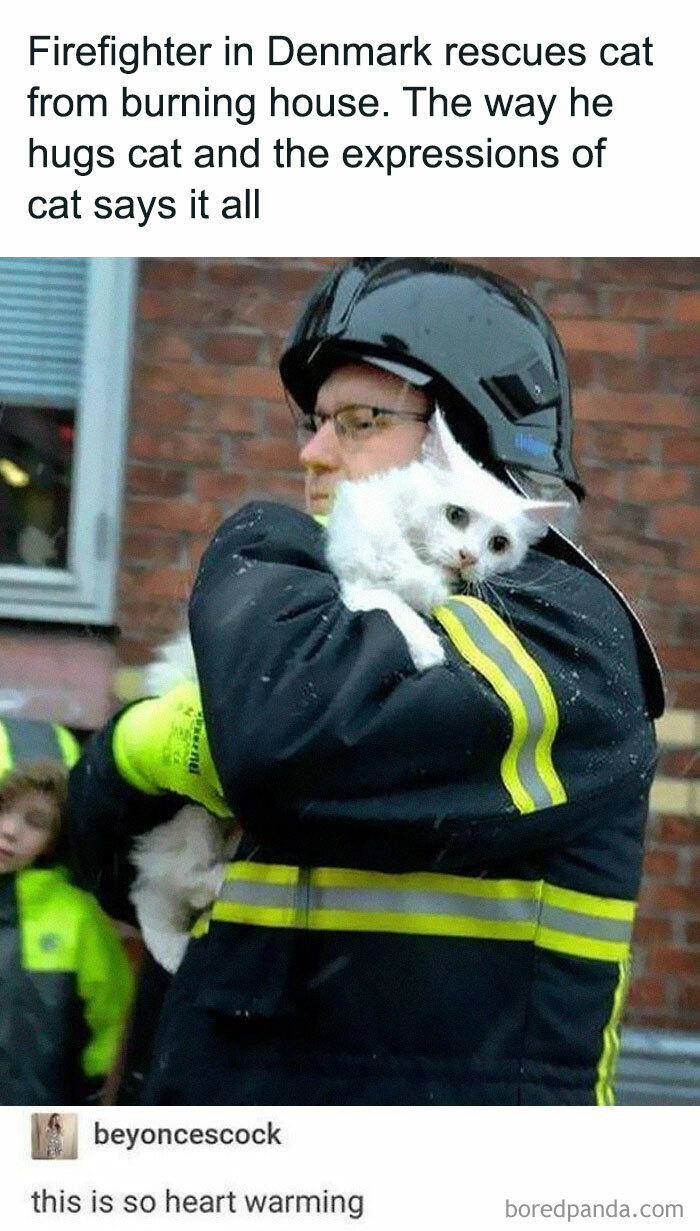 Firefighter in Denmark hugs rescued white cat, showcasing heartwarming moment perfect for cat memes lovers.