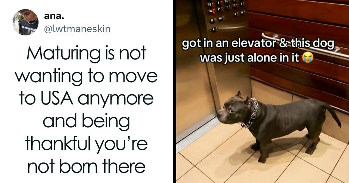 93 Hilarious Memes With A Hint Of Cynicism
