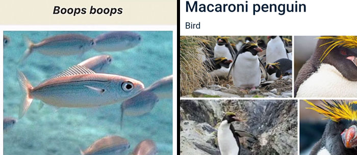 46 Animals With Names So Inappropriate, You Might Think The Scientists Were Just Messing With Us