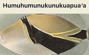 46 Animals With Names So Inappropriate, You Might Think The Scientists Were Just Messing With Us