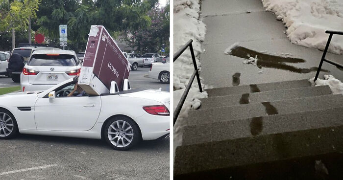 No Time To Read? 50 Funny Photos That Say It All Instantly