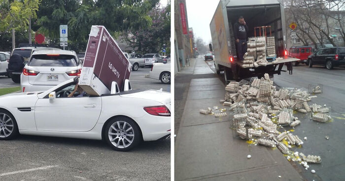 No Time To Read? 50 Funny Photos That Say It All Instantly