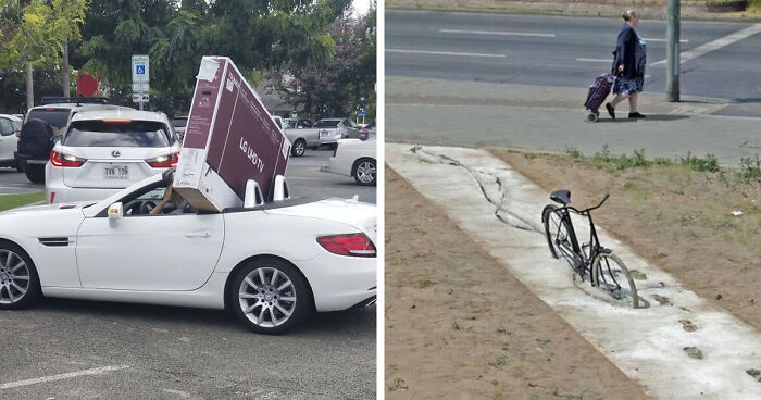 No Time To Read? 50 Funny Photos That Say It All Instantly